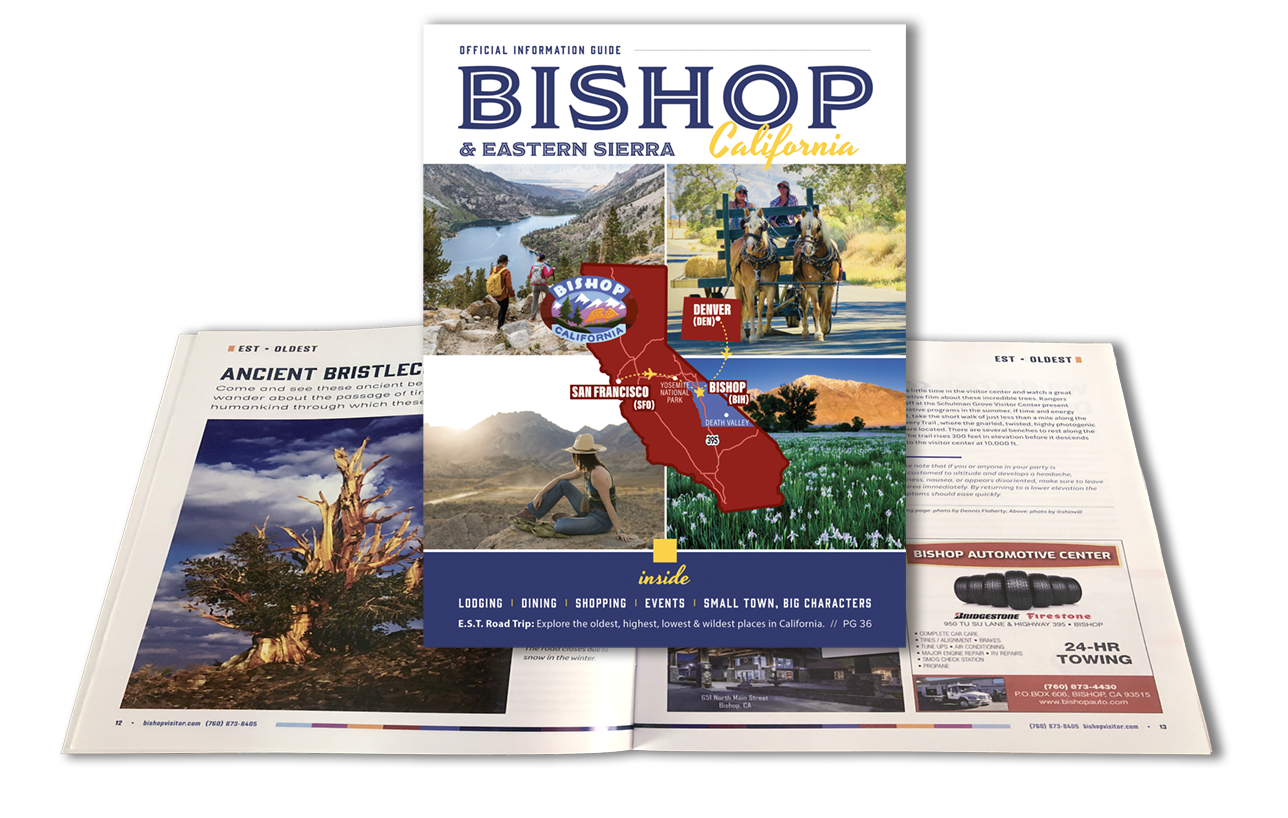 Bishop California new visitor center website